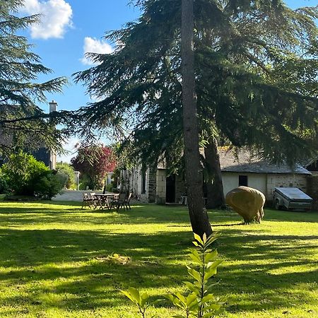 Maison De Charme Saint-Saturnin-sur-Loire 외부 사진